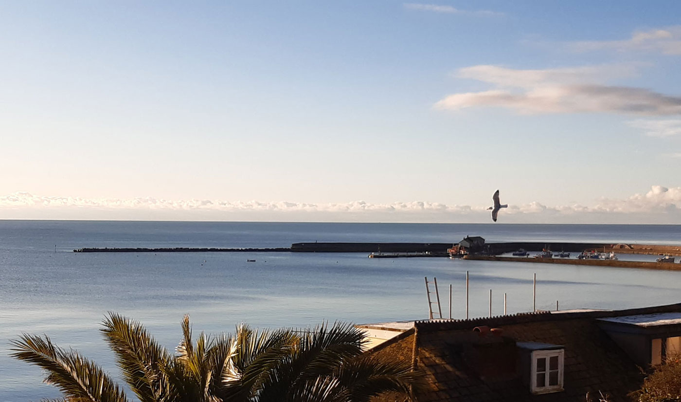 The Cobb harbour at Lyme Regis at golden hour, with a seagull in flight over the breakwater, photographed from above the shopfront